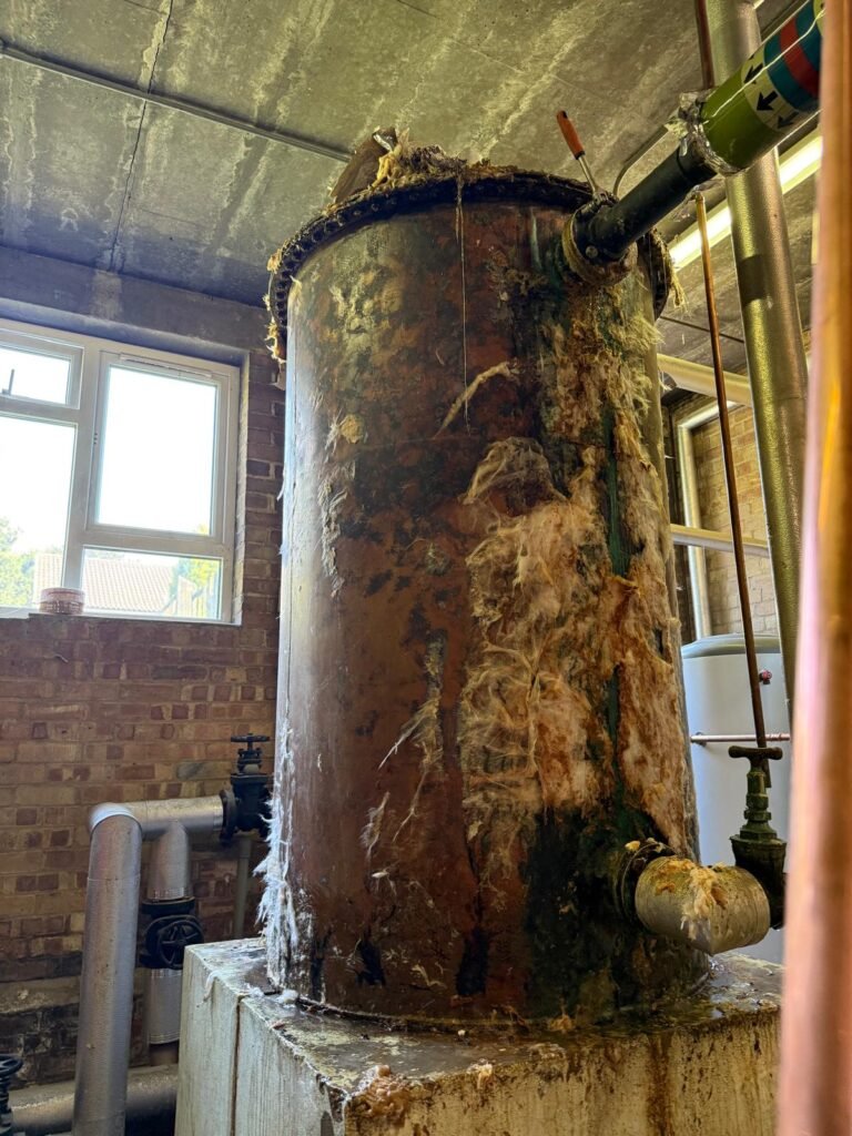 PHOTO 2025 06 12 16 31 12 3