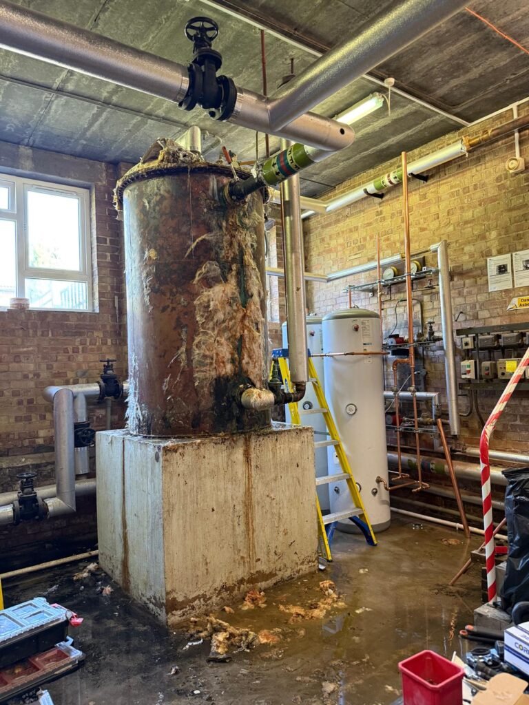 PHOTO 2025 06 12 16 31 12 4