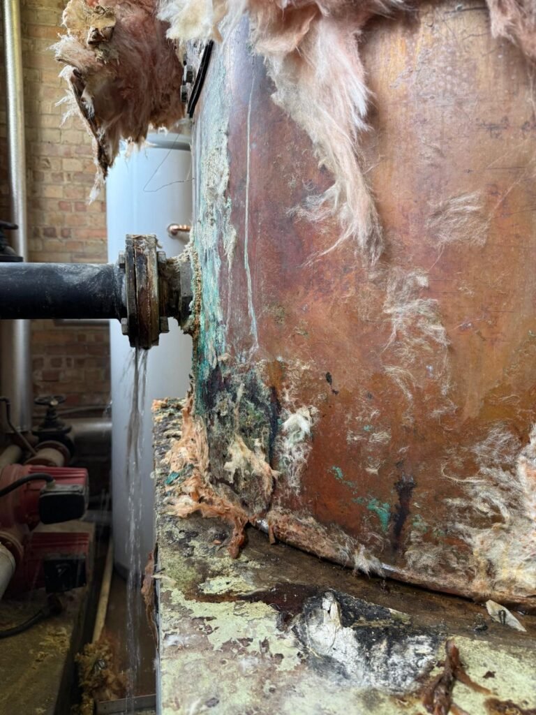 PHOTO 2025 06 12 16 31 12