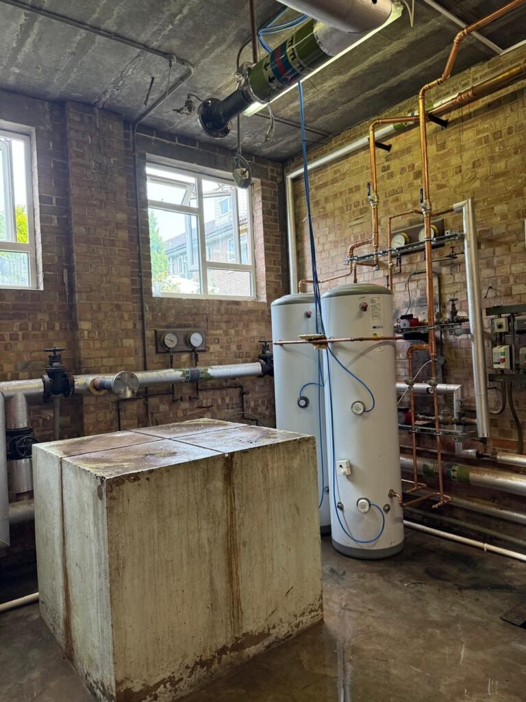 PHOTO 2025 06 12 16 31 14